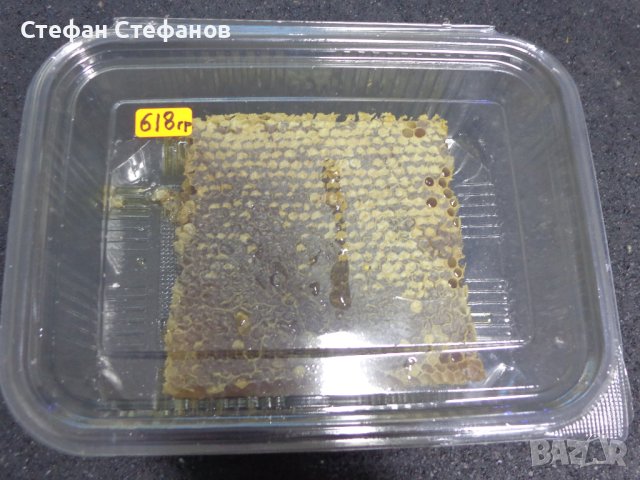 Пчелен мед във восъчна пита, снимка 3 - Пчелни продукти - 38495832