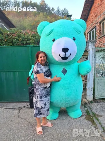 Аниматори , детско парти , рожден ден , герой , мечка , панда, снимка 6 - Аниматори, танцьори, статисти… - 46724176