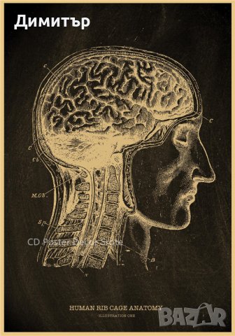 Постер постери плакат 42x28.5cm мозък, снимка 1 - Декорация за дома - 40544633