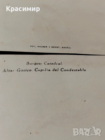 Винтидж Снимки. Началото на 20 Век. , снимка 11 - Колекции - 53204369