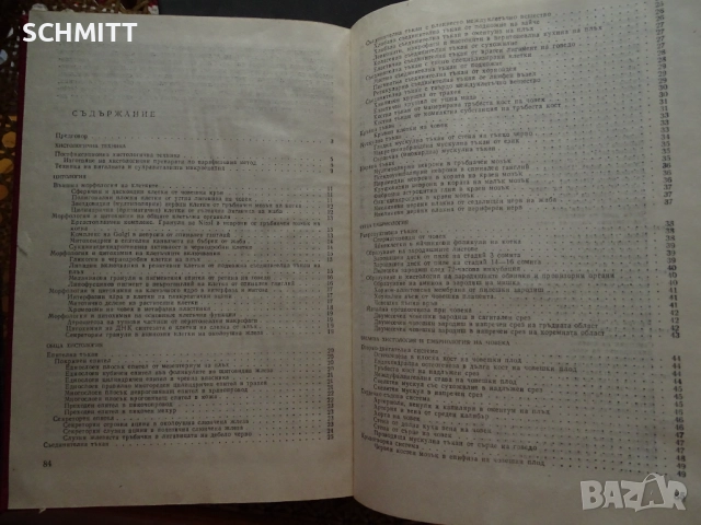 РЪКОВОДСТВО ПО ХИСТОЛОГИЯ НА ЧОВЕКА, снимка 3 - Художествена литература - 52059563