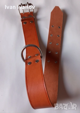 Масивен нашийник от плътен бланк с двойна катарама – 5 см широк / 80 см, снимка 2 - За кучета - 54138289