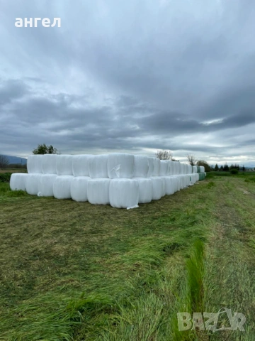 Рулонни бали люцерна сенаж , снимка 2 - За селскостопански - 54363798