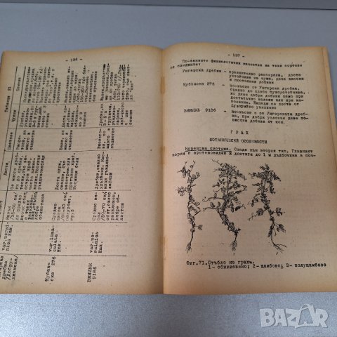 Растениевъдство-Ръководство за лабораторно-практически занятия, 1955 г., снимка 3 - Специализирана литература - 42906308