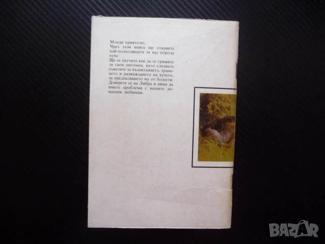 Аз имам куче Радка Иванова породи хранене дресиране болести развъждане отглеждане кученца избор, снимка 3 - Специализирана литература - 52368874