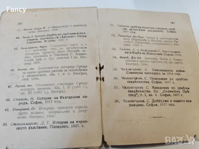 Стара книга "Сръбско българските отношения" 1918 г, снимка 4 - Колекции - 47631731