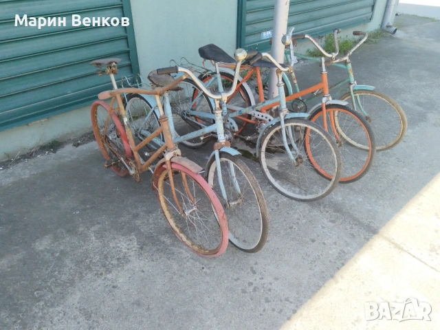 Школник. 