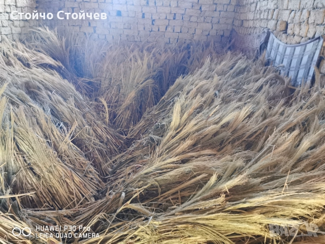 Продавам метлен клас - стара и нова реколта , снимка 6 - Индустриална техника - 52130527