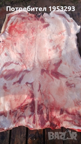 Прясна шарена сланина от бяла българка, снимка 6 - Прасета - 52914445