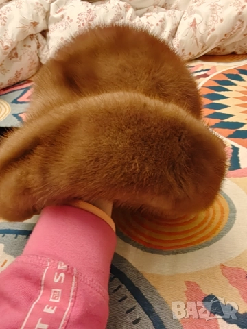 Страхотна шапка лисица намален, снимка 3 - Шапки - 52353981
