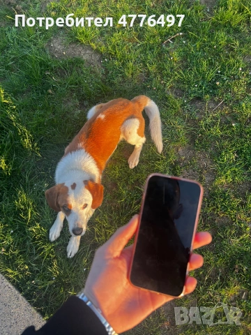 📱 iPhone 14 (PRODUCT) RED – 128GB