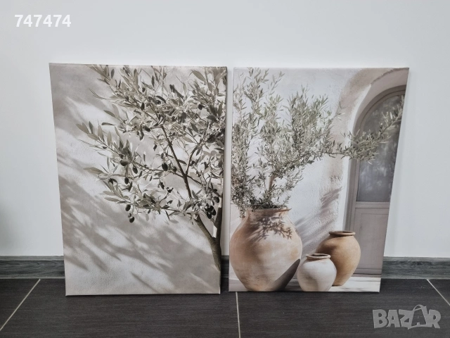 Комплект картини 2 броя 46/65