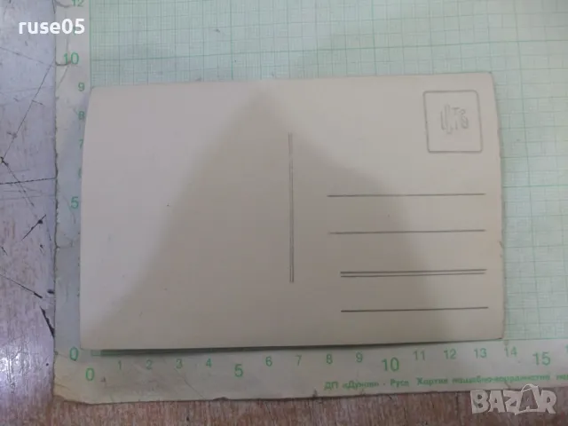 Снимка стара на полегнала дама - 1, снимка 2 - Колекции - 48003488