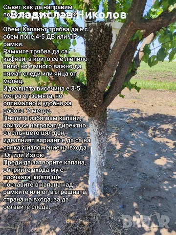 ЕвоРой - примамка за пчелни рояци, снимка 4 - За пчели - 45206919