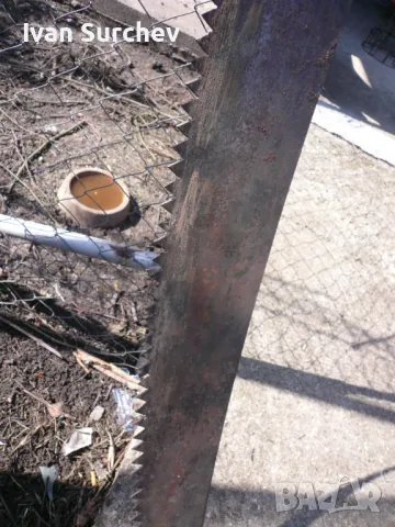 ДЖАГА ЗА ДЪРВА, снимка 11 - Градински инструменти - 47296892