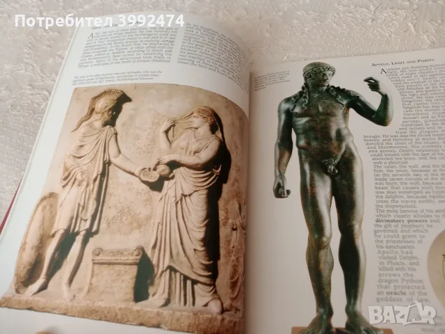 Книги на английски език , снимка 2 - История, политика и общество - 55726739