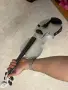 CANTINI VIOLIN 4/4, снимка 3