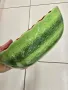 купички диня, снимка 2