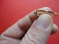 Позлатен пръстен с камък Avon, снимка 4