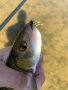 изкуствени мухи за риболов на кефал, снимка 13