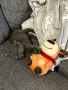 Коте търси дом - София - спешно , снимка 6