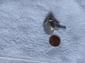 НОВИ дръжки за врати на мебели Мебелни дръжки за врати Много качествени, здрави, внос от Англия, снимка 4