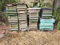 Продавам пчелни кошери 12ки и 9ки, снимка 1