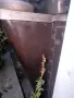 Печка на дърва Чудо, снимка 9