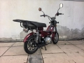 2025 Бензинови мотопеди мотопед с педали /педалетка/ 49 куб.см Автоматик , снимка 9