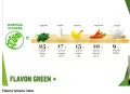 🌿 FLAVON GREEN+ NEW – за чревния микробиом, храносмилането и ежедневния баланс | 53 €, снимка 5