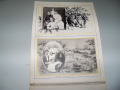 Луксозен семеен албум с 43 фотографии от 1907г.- 1910г., снимка 8