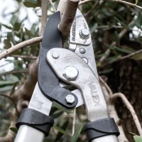 Ножица за клони Ø 40ММ тип гилотина с телескопични дръжки серия профи, снимка 2 - Градински инструменти - 23806857