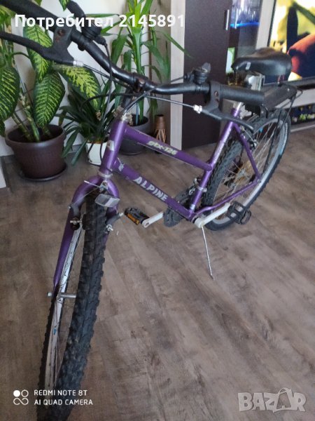 Алпин, снимка 1