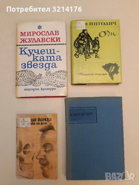 Очи - Антон Инголич, снимка 1