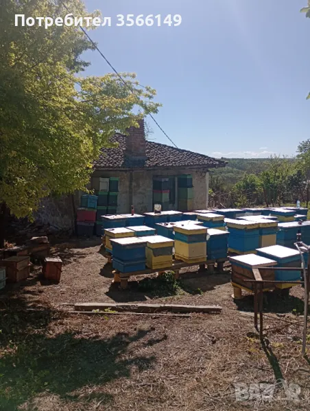 Къща, снимка 1