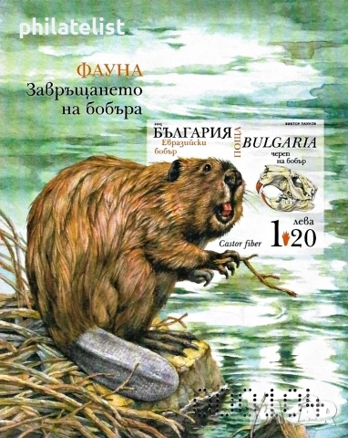 България 2025 - Евразийски бобър - 2 блока MNH, снимка 4 - Филателия - 52797678