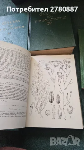 Флора на Народна република България. Том 1-9 книги медицина и биология, отлично състояние , снимка 5 - Специализирана литература - 55785656