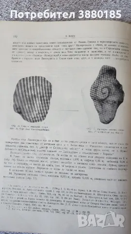 Известия на археологическия институт , снимка 5 - Други - 49553187