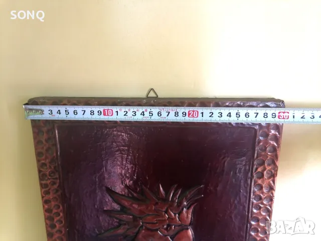 Старо Медно Пано- Папагал, снимка 8 - Пана - 47455860