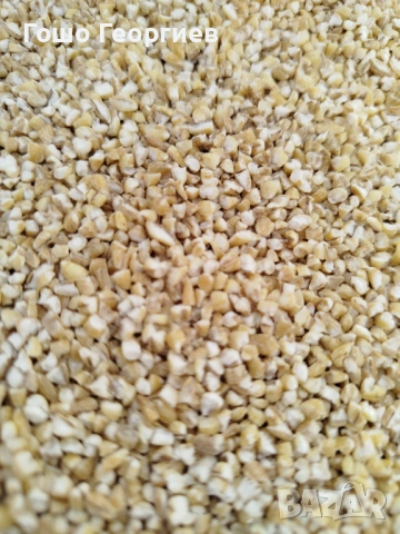 Белен овес ,за мелене,варене,печене ,първо качество с анализен сертификат