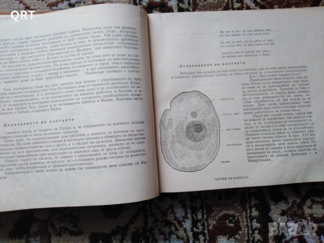 Книги Познания за човека и Непознатият свят- човекът по 3 лв. всяка, снимка 3 - Специализирана литература - 31220431