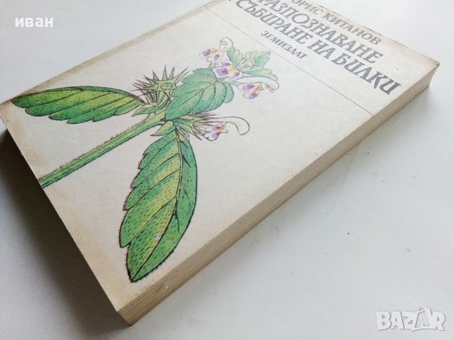 Разпознаване и събиране на билки - Борис Китанов - 1987г., снимка 11 - Енциклопедии, справочници - 53281460