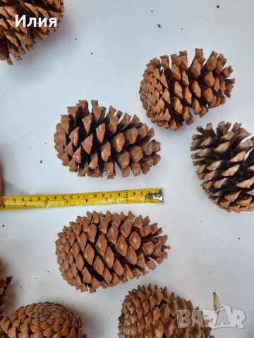 Големи шишарки (от 10 до 17 см) , снимка 10 - Декорация за дома - 38594162