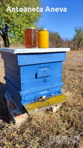 Пчелен мед , снимка 2 - Пчелни продукти - 42806583