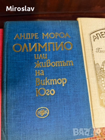 17бр. Книги - БОТЕВ ЕЛИН ПЕЛИН ЯВОРОВ ОСКАР УАЙЛД ЖУЛ ВЕРН, снимка 16 - Художествена литература - 54212356