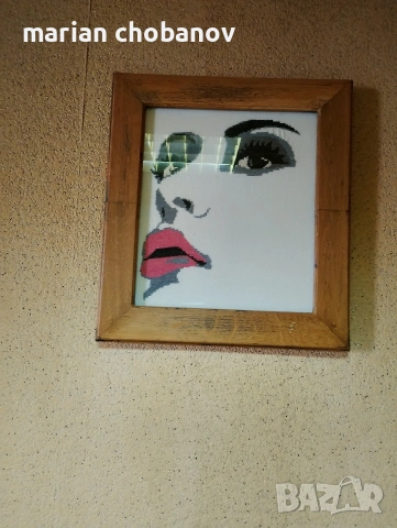 РЪЧНО ШИТИ ГОБЛЕНИ , снимка 12 - Гоблени - 53109172