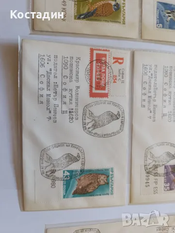 Пощенски пликове България защита на природата на Европа 1980, снимка 5 - Филателия - 48907522
