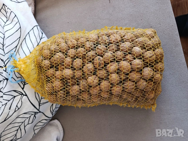 Малки орехи с черупка 