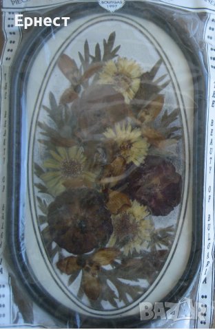 2 Сувенирни арт картини от натурални цветя, снимка 2 - Други ценни предмети - 38471975