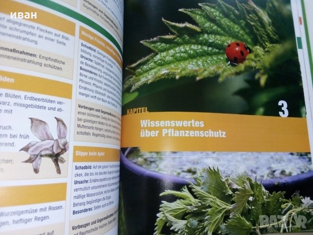 Der Gartendoktor -Ingrid Pfendtner, снимка 8 - Енциклопедии, справочници - 29266931